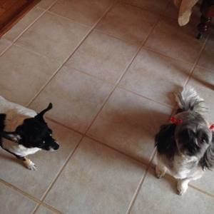 Meet your Posher, Diane